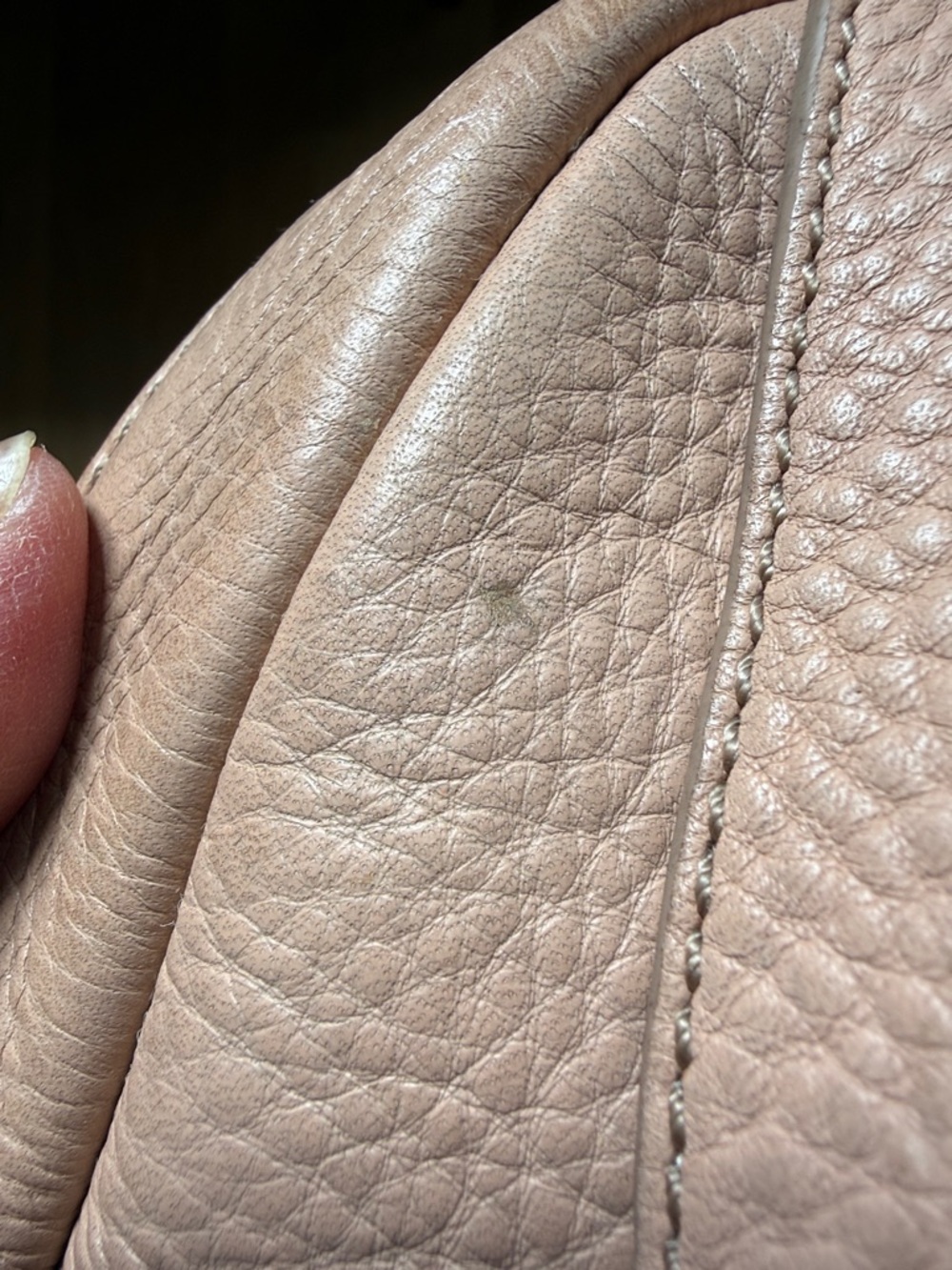 J. Crew Blush Pebbled Leather Crossbody with Gold Hardware - Picture 14 of 16